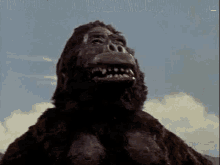 Kong GIF - Kong GIFs
