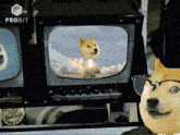 Own The Doge Doge GIF
