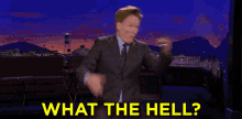 Wadahel What The Hell GIF - Wadahel What The Hell Conan GIFs