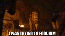 The Lion King Scar GIF - The Lion King Scar I Was Trying To Fool Him GIFs