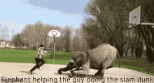 Elephant Dunk GIF - Elephant Dunk Slamdunk GIFs