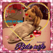 a picture of a stuffed animal with the words ride wife