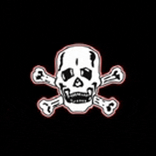 a skull and crossbones are on a black background .