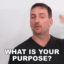 What Is Your Purpose Adam GIF - What Is Your Purpose Adam Engvid GIFs