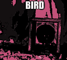 Kiwi Land Kiwi GIF - Kiwi Land Kiwi Bird GIFs