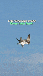 a bird is flying over a pier with the words " pada saat mereka berpikir kamu telah jatuh "