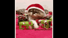 Cat Christmas GIF - Cat Christmas Presents GIFs