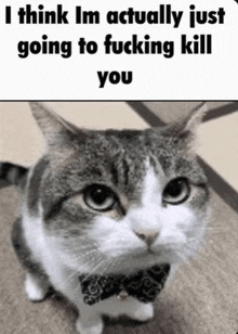 Testofdoom Meme