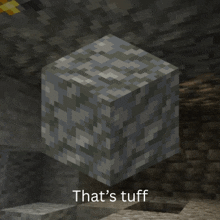 a minecraft block says that 's tuff on it