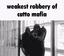 catto mafia polynomers