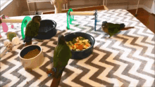 Conure Eating Fruits And Vegetables GIF - Conure Eating Fruits And Vegetables Birds GIFs