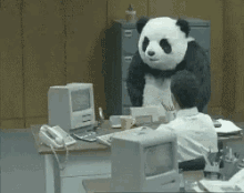 Panda Rage GIF - Panda Rage Attack On Computer GIFs