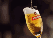Beer Day Pour GIF - Beer Day Pour Beer GIFs