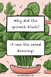 Spinach Spinach Jokes GIF - Spinach Spinach Jokes Punny Jokes GIFs