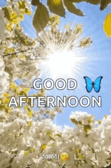 Good Afternoon GIF - Good Afternoon Flowers GIFs