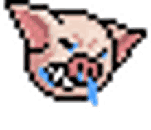 pig cry snot in pain tears