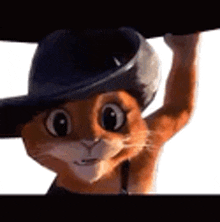 a cartoon cat wearing a cowboy hat is holding a hat over his head .