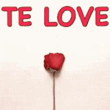 Te Love, Coração, Amor, Romântico GIF - Loveyou Heart Love GIFs