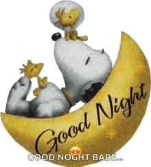 Snoopy Goodnight GIF