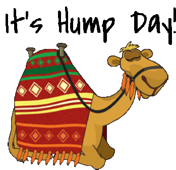 Wednesday Hump Day Motivation Animated Stickers Sticker