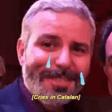 Cries Cries In Catalan GIF