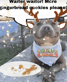 Christmas Dog GIF - Christmas Dog Meme GIFs