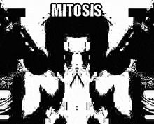 Mitosis GIF - Mitosis GIFs