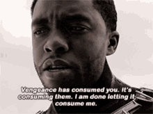 Black Panther Tchalla GIF - Black Panther Tchalla Vengeance Has Consumed You GIFs