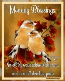 Monday Blessings GIF - Monday Blessings Morning GIFs