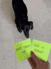a person holding a piece of paper that says " get blown up "