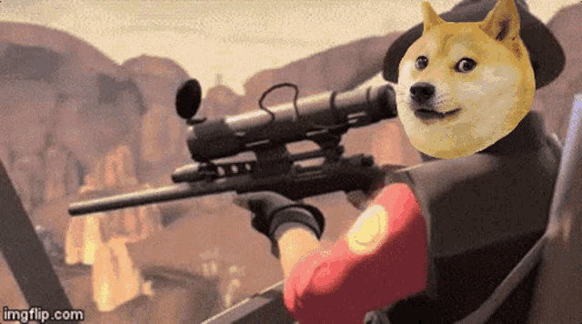 doge with gun