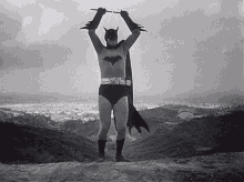 Lewis Wilson Batman GIF - Lewis Wilson Batman Batmanday GIFs