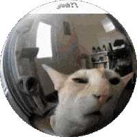 Guh Cat Sticker - Guh Cat Globe Stickers