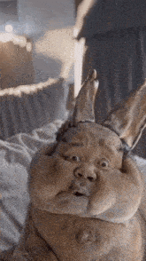 a stuffed animal with bunny ears is laying on a bed and making a funny face