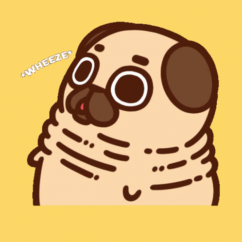 Puglie Puglie Pug GIF - Puglie Pug Puglie Pug GIFs
