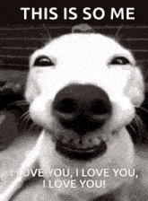 Smiling Dog I Love You GIF - Smiling Dog I Love You I Love You I Love You I Love You GIFs