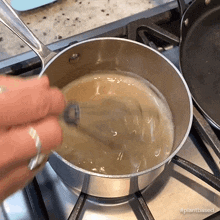 Mixing The Whole Food Plant Based Cooking Show GIF - Mixing The Whole Food Plant Based Cooking Show Stirring GIFs