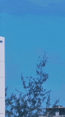 a plane is flying through a window with a blue sky behind it