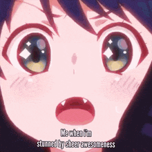a close up of a girl 's face with the words me when i 'm stunned by sheer awesomeness below it