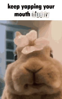 Buddy Keep Yapping GIF - Buddy Keep Yapping Keep Yapping Your Mouth Buddy GIFs