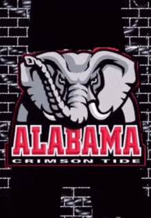 Alabama Roll Tide GIF