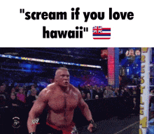 a wrestling match with the words " scream if you love hawaii " on the screen