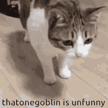Unfunny GIF - Unfunny GIFs