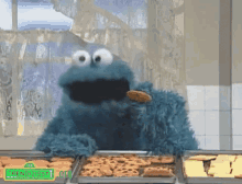 Cookies Yummy GIF - Cookies Yummy Cookie Monster GIFs