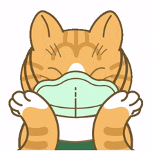 cute happy mask confident cat