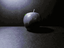 apple black and white glitch distorted