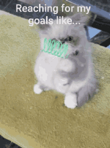 Goals Kitty GIF