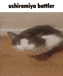 Ushiromiya Battler GIF - Ushiromiya Battler Umineko GIFs