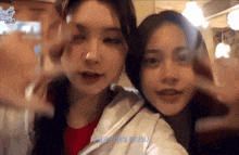 two girls are posing for a picture with the word diary on the bottom right corner