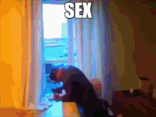 Sex Popek GIF - Sex Popek Rafonix GIFs